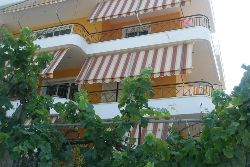 הימארה Lina'S Apartment מראה חיצוני תמונה